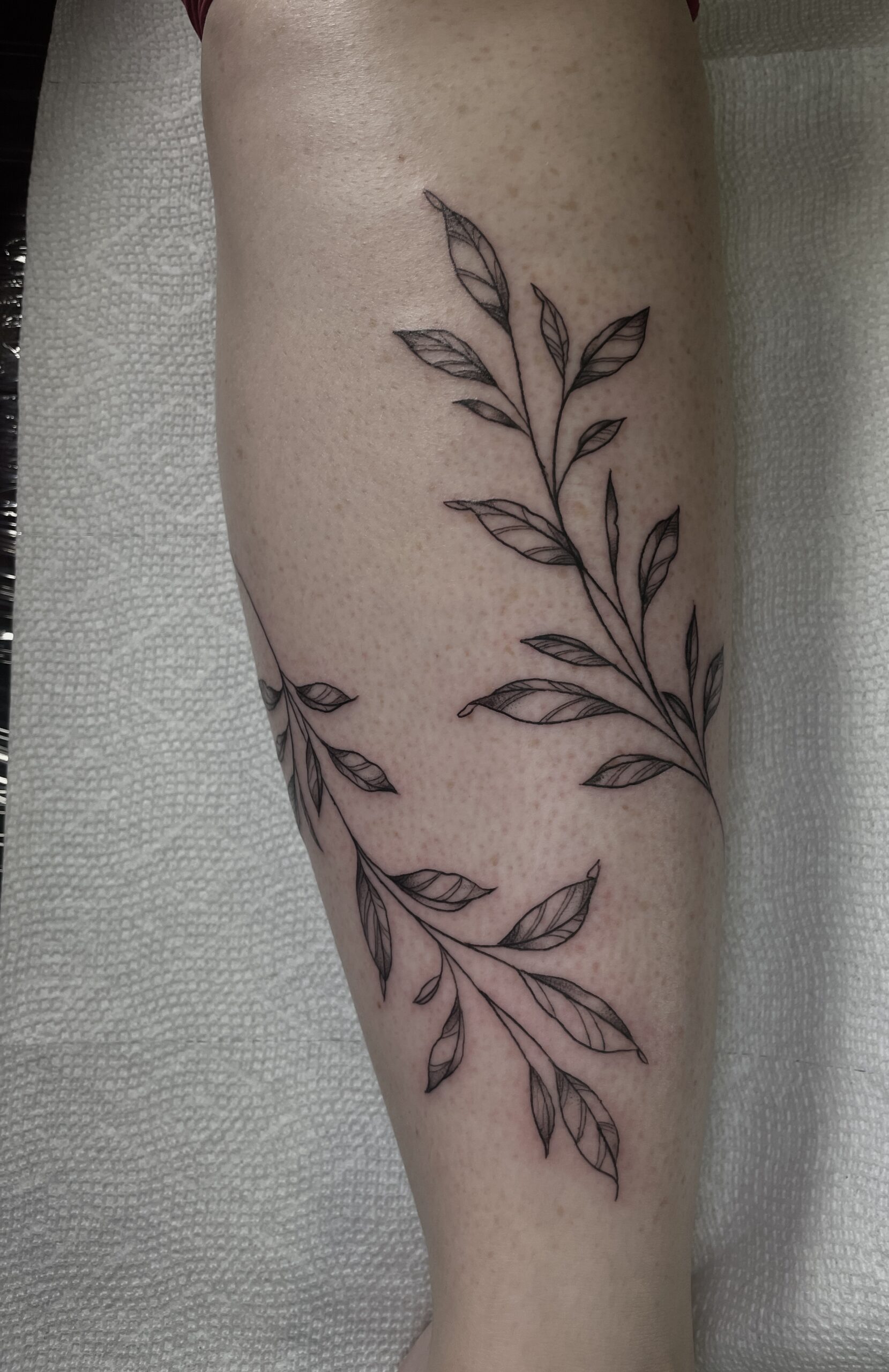 4D867909-F144-42BB-9897-736FFDC1A4FF